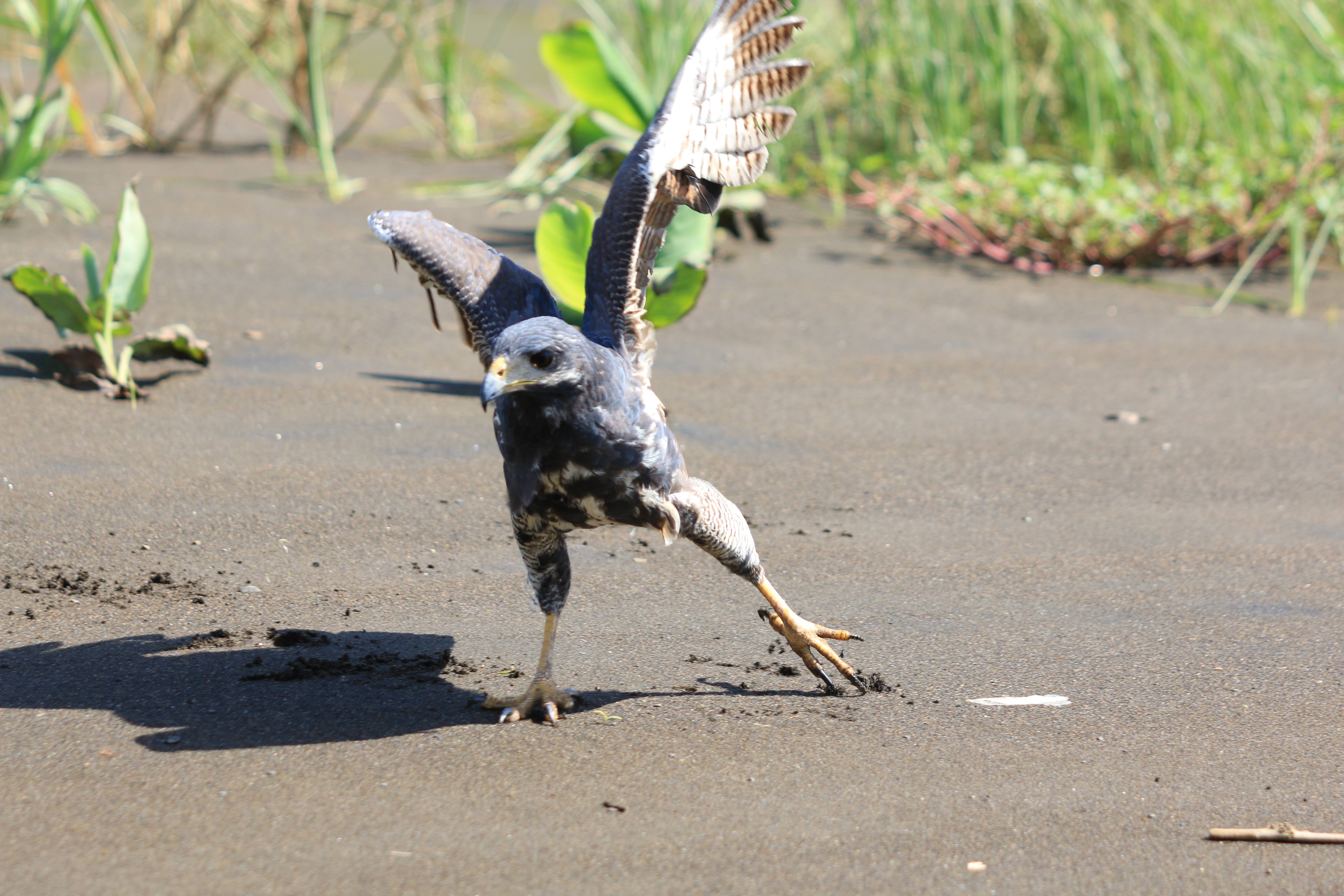 Costa Rica